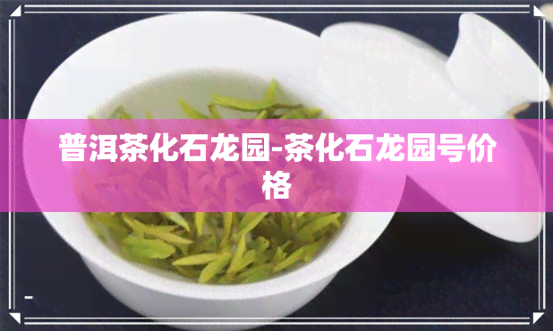 普洱茶化石龙园-茶化石龙园号价格