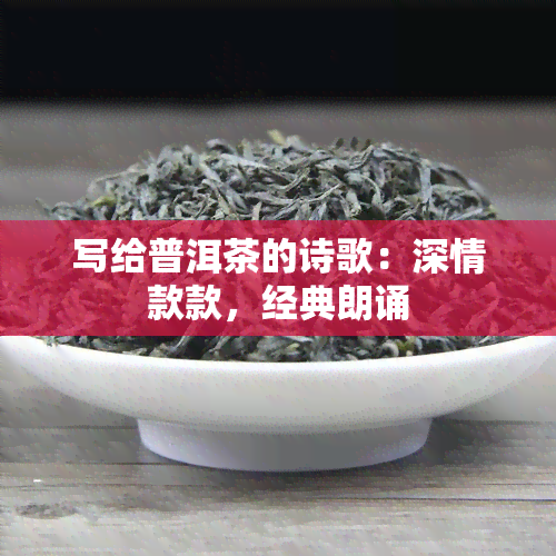 写给普洱茶的诗歌：深情款款，经典朗诵