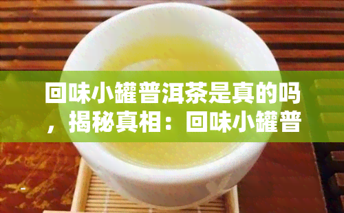 回味小罐普洱茶是真的吗，揭秘真相：回味小罐普洱茶是否为真货？