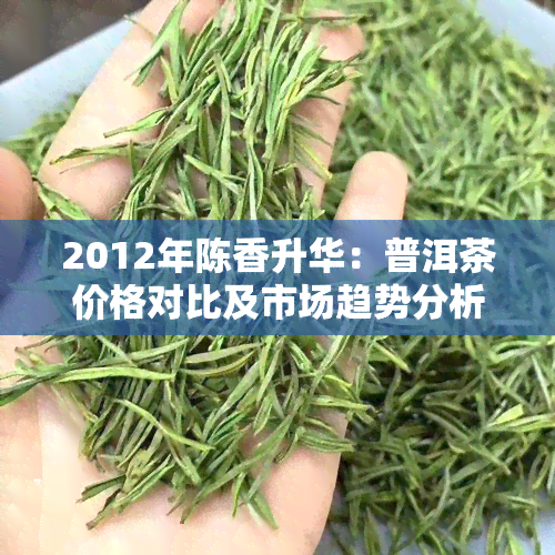 2012年陈香升华：普洱茶价格对比及市场趋势分析