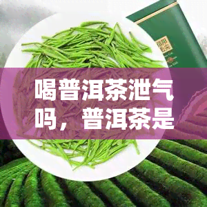 喝普洱茶泄气吗，普洱茶是否会导致泄气？探讨其可能的副作用和原因