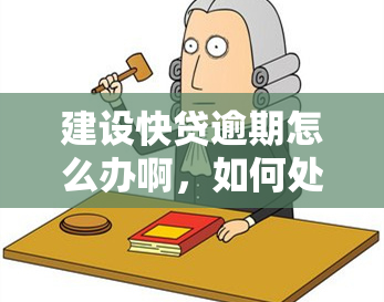 建设快贷逾期怎么办啊，如何处理建设快贷逾期？一份全面的解决方案指南