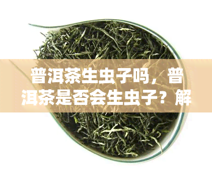 普洱茶生虫子吗，普洱茶是否会生虫子？解析茶叶保存问题