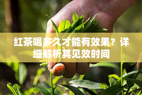 红茶喝多久才能有效果？详细解析其见效时间