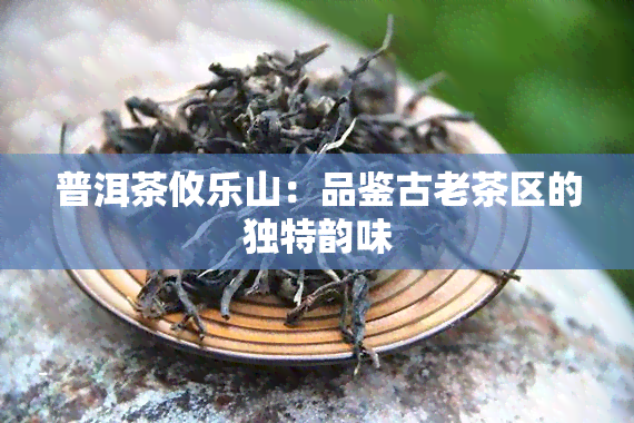 普洱茶攸乐山：品鉴古老茶区的独特韵味