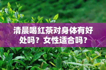 清晨喝红茶对身体有好处吗？女性适合吗？