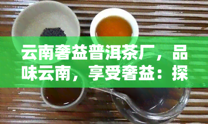 云南奢益普洱茶厂，品味云南，享受奢益：探索奢益普洱茶厂的制茶工艺与历文化