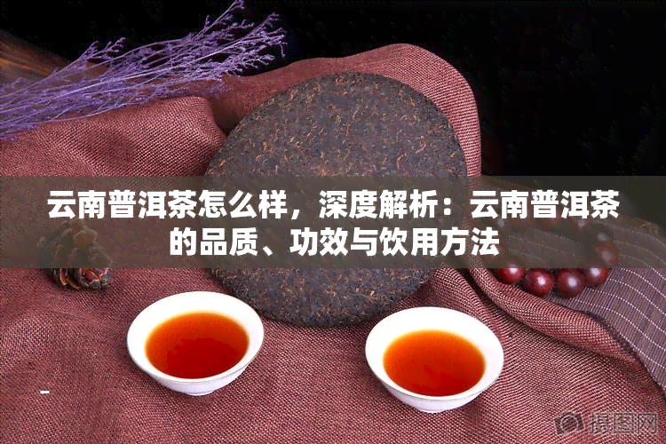 云南普洱茶怎么样，深度解析：云南普洱茶的品质、功效与饮用方法