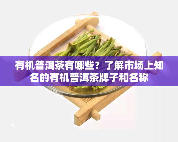 有机普洱茶有哪些？了解市场上知名的有机普洱茶牌子和名称