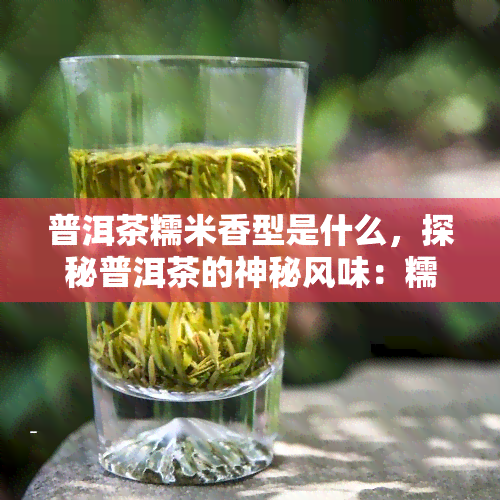 普洱茶糯米香型是什么，探秘普洱茶的神秘风味：糯米香型详解