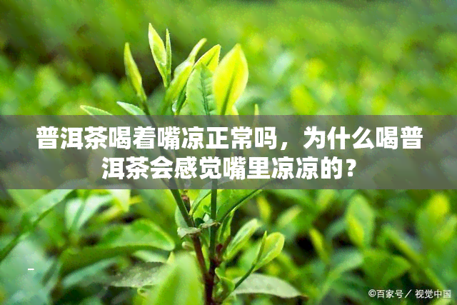 普洱茶喝着嘴凉正常吗，为什么喝普洱茶会感觉嘴里凉凉的？