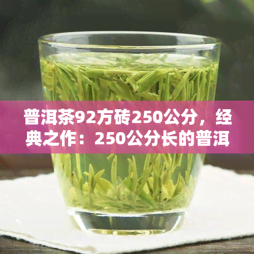 普洱茶92方砖250公分，经典之作：250公分长的普洱茶92方砖