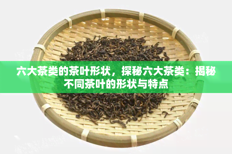 六大茶类的茶叶形状，探秘六大茶类：揭秘不同茶叶的形状与特点