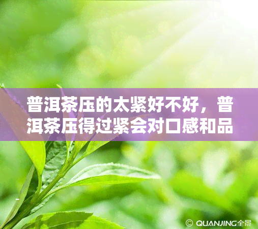 普洱茶压的太紧好不好，普洱茶压得过紧会对口感和品质有何影响？