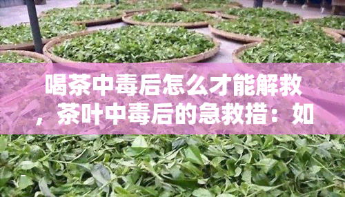 喝茶中后怎么才能解救，茶叶中后的急救措：如何进行有效解救？