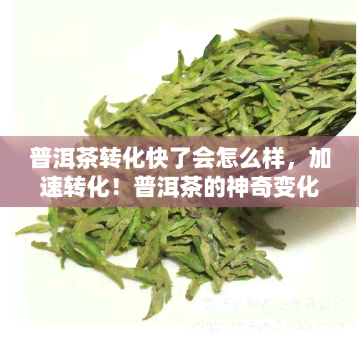 普洱茶转化快了会怎么样，加速转化！普洱茶的神奇变化你知道吗？