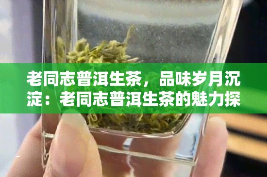 老同志普洱生茶，品味岁月沉淀：老同志普洱生茶的魅力探索