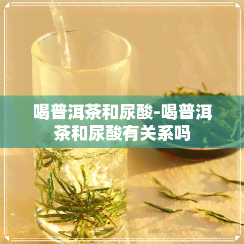 喝普洱茶和尿酸-喝普洱茶和尿酸有关系吗