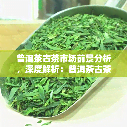 普洱茶古茶市场前景分析，深度解析：普洱茶古茶市场前景展望