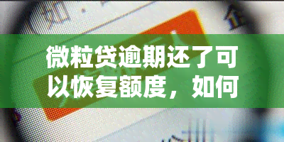 微粒贷逾期还了可以恢复额度，如何恢复微粒贷额度？逾期还款后仍有可能实现！