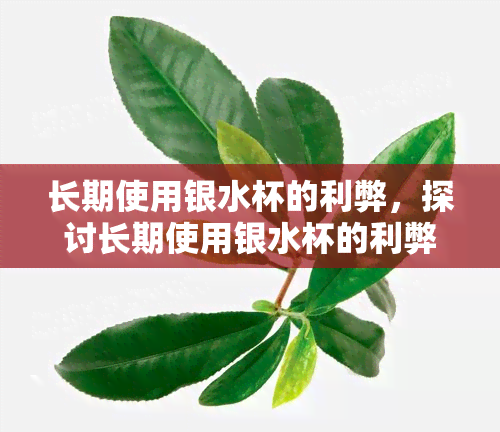 长期使用银水杯的利弊，探讨长期使用银水杯的利弊：健、经济与环保因素