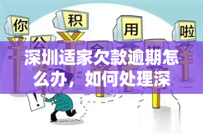 深圳适家欠款逾期怎么办，如何处理深圳适家的欠款逾期问题？