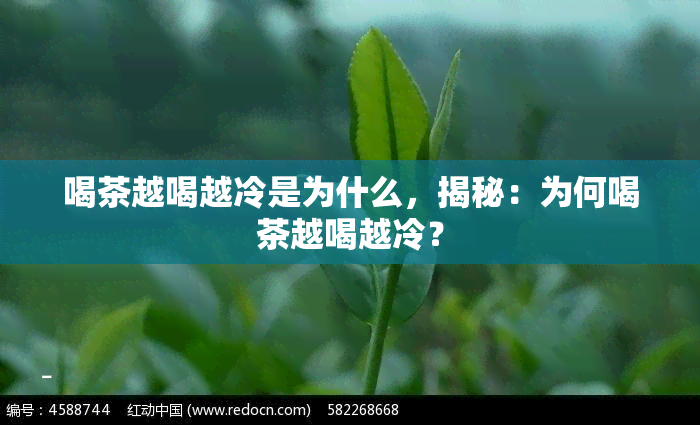 喝茶越喝越冷是为什么，揭秘：为何喝茶越喝越冷？