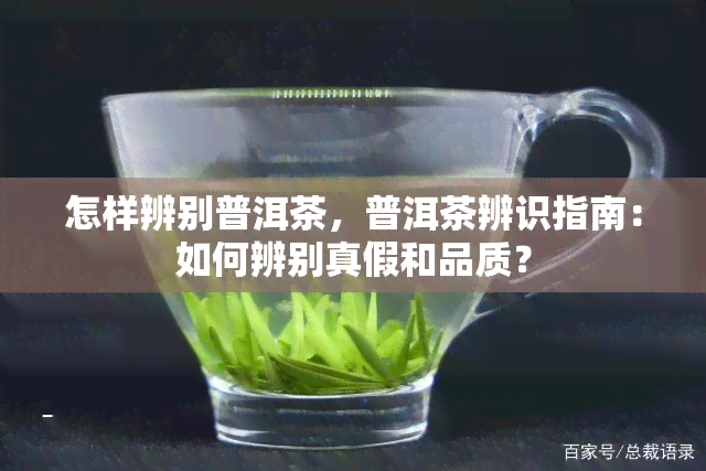 怎样辨别普洱茶，普洱茶辨识指南：如何辨别真假和品质？