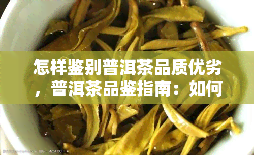 怎样鉴别普洱茶品质优劣，普洱茶品鉴指南：如何辨别茶叶的优劣？