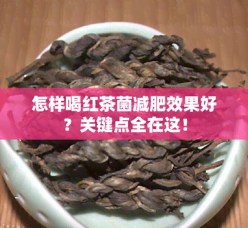 怎样喝红茶菌减肥效果好？关键点全在这！