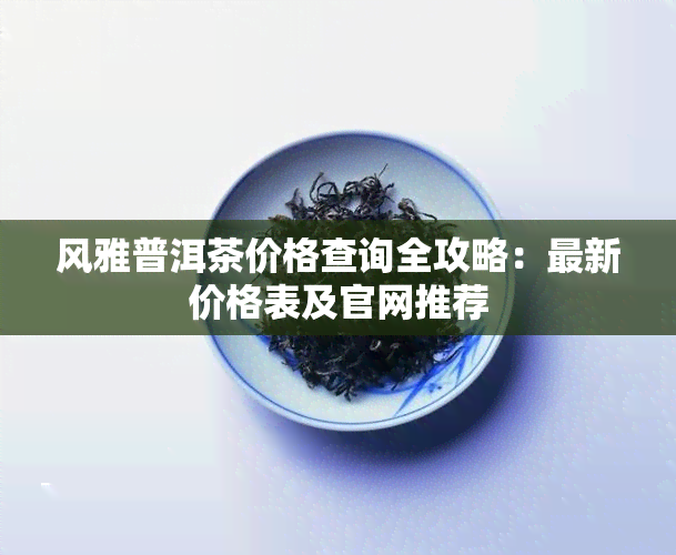 风雅普洱茶价格查询全攻略：最新价格表及官网推荐