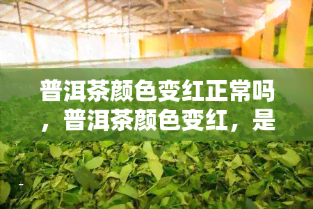 普洱茶颜色变红正常吗，普洱茶颜色变红，是否正常？