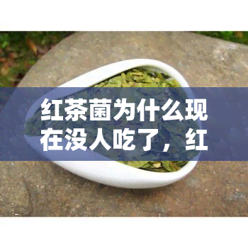 红茶菌为什么现在没人吃了，红茶菌为何逐渐淡出人们的餐桌？