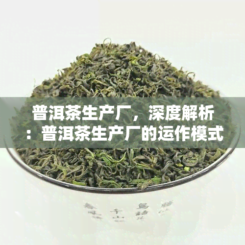 普洱茶生产厂，深度解析：普洱茶生产厂的运作模式与品质把控