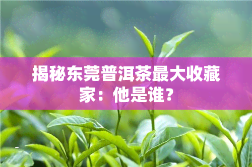 揭秘东莞普洱茶更大收藏家：他是谁？