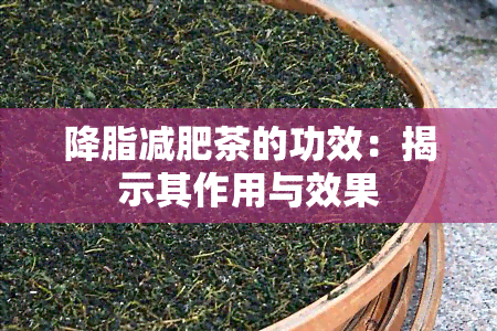 降脂减肥茶的功效：揭示其作用与效果