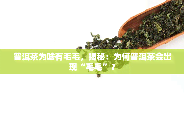 普洱茶为啥有毛毛，揭秘：为何普洱茶会出现“毛毛”？