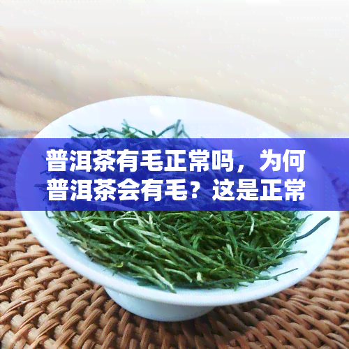 普洱茶有毛正常吗，为何普洱茶会有毛？这是正常的吗？