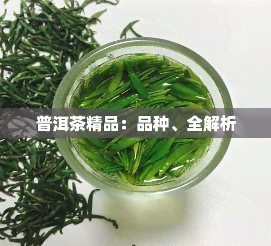 普洱茶精品：品种、全解析