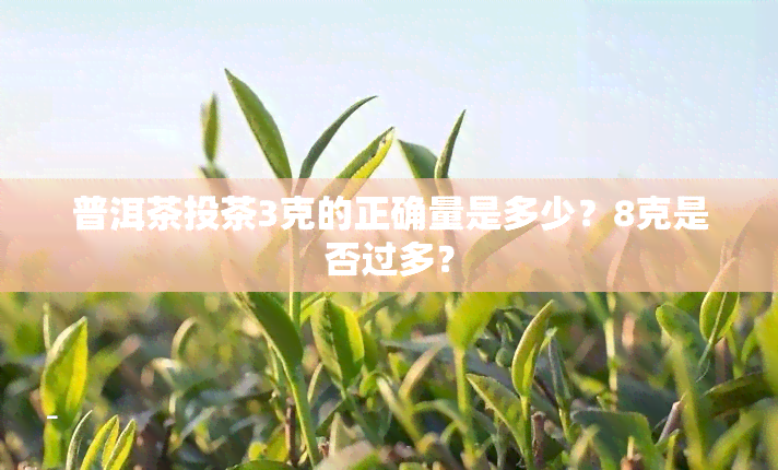 普洱茶投茶3克的正确量是多少？8克是否过多？