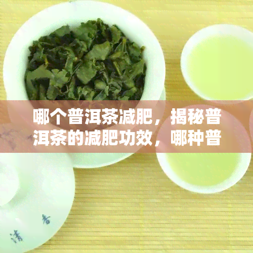 哪个普洱茶减肥，揭秘普洱茶的减肥功效，哪种普洱茶最有效？