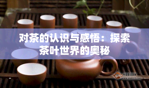 对茶的认识与感悟：探索茶叶世界的奥秘