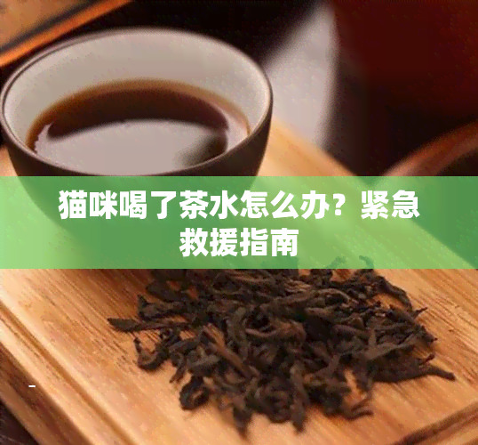 猫咪喝了茶水怎么办？紧急救援指南