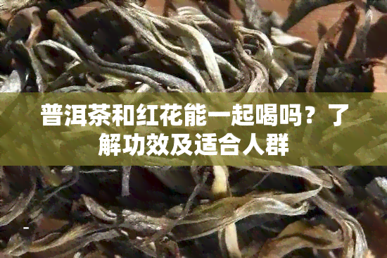 普洱茶和红花能一起喝吗？了解功效及适合人群