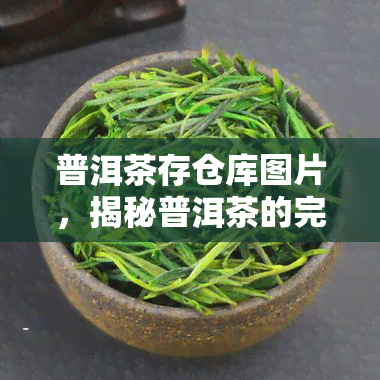 普洱茶存仓库图片，揭秘普洱茶的完美存：专业仓库实拍图片解析