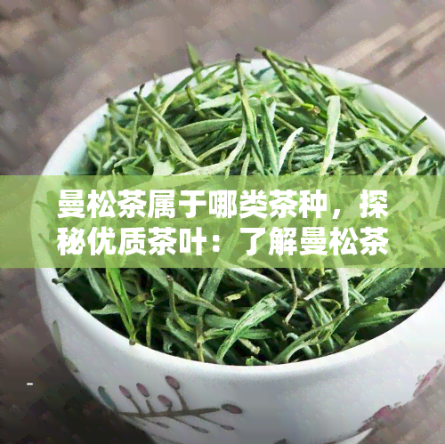 曼松茶属于哪类茶种，探秘优质茶叶：了解曼松茶的种类归属