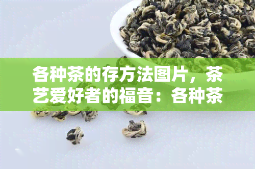 各种茶的存方法图片，茶艺爱好者的福音：各种茶叶的完美存方法图文详解！