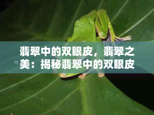 翡翠中的双眼皮，翡翠之美：揭秘翡翠中的双眼皮现象