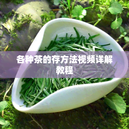 各种茶的存方法视频详解教程