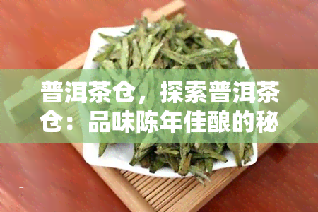 普洱茶仓，探索普洱茶仓：品味陈年佳酿的秘密